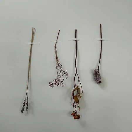 Vakantiehuis Beautiful Loft In Katwijk aan Zee