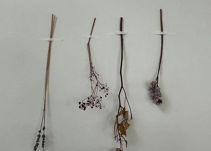 Casa de Férias Beautiful Loft In Katwijk aan Zee